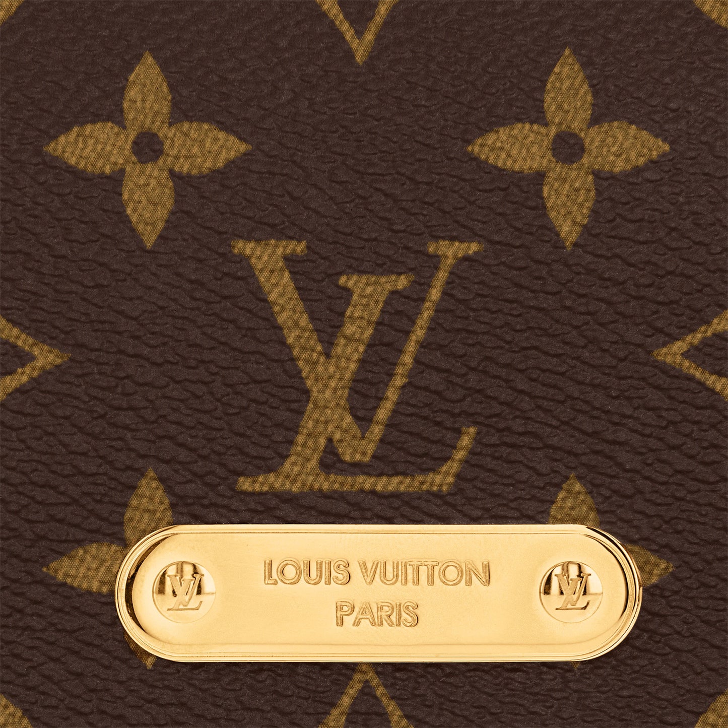 Louis Vuitton 'Wallet On Chain Lily